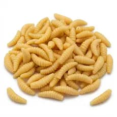 Isca Artificial Larva Bicho da Laranja Silicone Bege 2cm