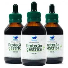 Espinheira Santa, Boldo, Hortelã e Guaçatonga - 100 ML - Kit 3 Frascos
