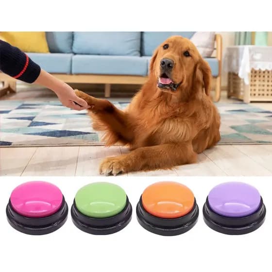 Botão De Treino Gravador De Voz Audio Adestramento Pet Cachorro Cores Aleatorio Comunicação