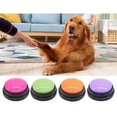 Botão De Treino Gravador De Voz Audio Adestramento Pet Cachorro Cores Aleatorio Comunicação