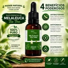 Kit 3 Óleo Essencial Melaleuca Tea Tree Puro 30ml - Acne Pele Cabelo Unha Aromaterapia Candidíase