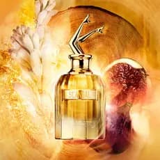 Perfume Scandal Absolu Concentré EDP 30ml Inspiração Luxuosa e Intensa