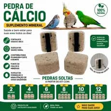 Pedras Cálcio Passaros Kit Calopsita Periquito Papagaio Aves Suplemento Mineral Digestão Bico Forte
