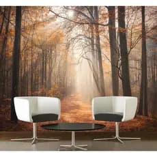 Papel De Parede Paisagem Estrada Adesivo Floresta Gg263