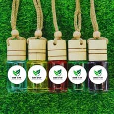 AROMATIZADOR DE CARRO CHEIRINHO 10ml