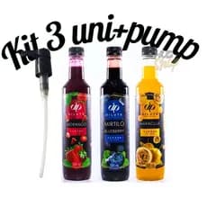 Kit 3 Xaropes Dilute para Drink Soda Italiana Gin + Pump