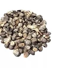 Semente Amburana, Imburana, Umburana, Emburana - 50, 120, 250, 500g