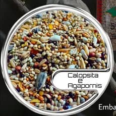Alimento para Pássaro Calopsita e Agapornis 5kg