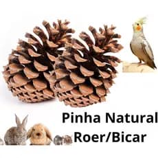 Brinquedo para Calopsita “Pinha Natural” P/ Psitacídeos, Coelhos, Hamster e Roedores