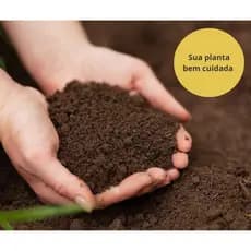 Terra Vegetal Adubada 10 kilos