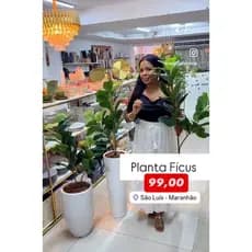Planta Permanentes Ficus Lyrata Grande Com 90cm Ficus Lyrata Planta Arvore Artificial Toque Real Realista Ficus