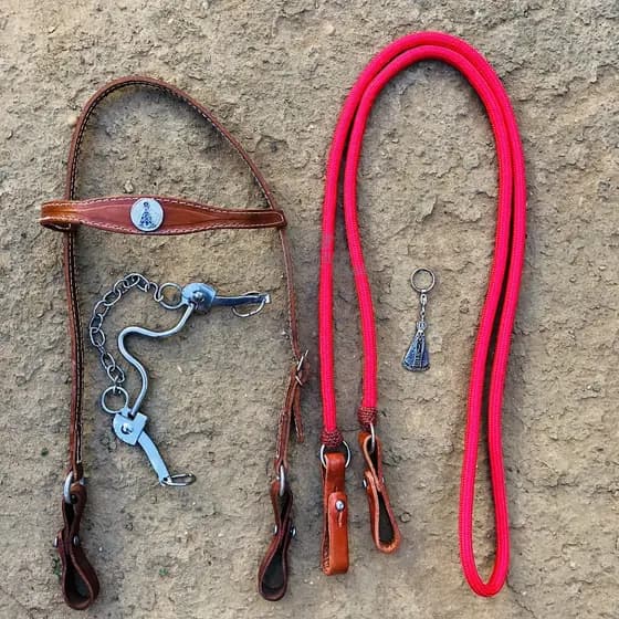 Kit Acessórios Peão Freio INOX Cabeçada Goianinha Nossa Senhora Rédea + Chaveiro Brinde