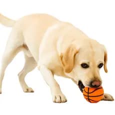 Bola de Vinil Pet Com Apito Brinquedo Resistente Para Cães