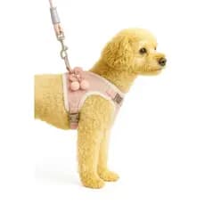 Peitoral com Guia para Cães Pequenos e Médios – Conforto, Ajuste Perfeito e Design Elegante
