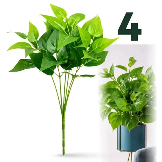 Planta Decoração Para Sala Jiboia Samambaia Eucalipto Pendente