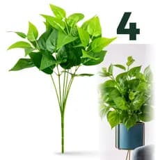 Planta Decoração Para Sala Jiboia Samambaia Eucalipto Pendente