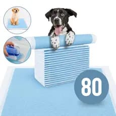 Tapete Higiênico Para Cães Fraldas Descartável Pet 60x60 20/40/60/80un