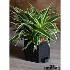 Vaso Autoirrigante Design Colmeia Pequeno Vaso cactos plantas plantio terrário vaso com reservatório