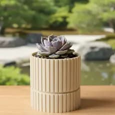 Vaso Poa Listrado - Ideal para Suculentas e Cactos tamanhos variados