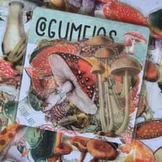 Adesivos Cogumelos Vintage impermeável para Scrapbook Colagem Bujo Planner 15 pçs
