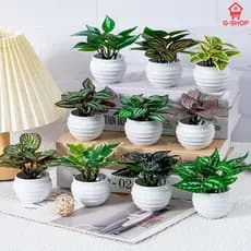 Kit 4 Mini Plantas Artificiais com Vaso | Arranjo Realista para Decoração | Diversos Ambientes