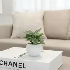 Mini Planta Artificial Decorativa com Vaso | Arranjo Realista para Casa e Escritório