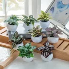 Mini Planta Artificial Decorativa com Vaso | Arranjo Realista para Casa e Escritório