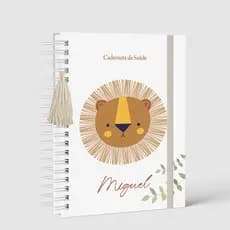 Caderneta de Saúde/Vacina - Capa Dura - Menino - Personalizada - Vários Temas 9