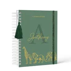 Caderneta de Saúde/Vacina - Capa Dura - Menino - Personalizada - Vários Temas 2