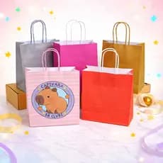 Sacola papel Presente Gift Bag C/10 unid.