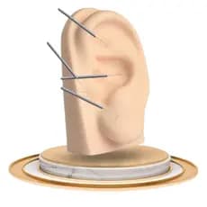 Orelha De Silicone Para Acupuntura Auricular Auriculoterapia
