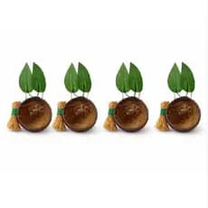 Ninho de Coleira Papa Capim Ideal para aves de pequeno porte