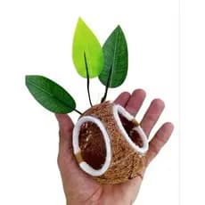 Ninho Bola Com fibra de Coco Natural para Coleiro papa capim curio
