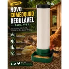 Kit Comedouro Aves Galinha Frango Pintinho Codorna Automatico