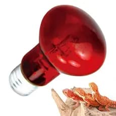 Lâmpada Led De Aquecimento Para Animais De Estimação , UVA 4 Tipos Dia Noite , E27 Infravermelho 25W/50W/75W/10
