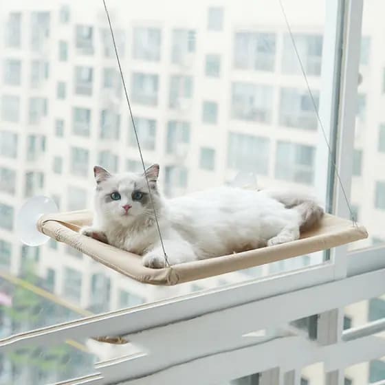 Cama Para Gatos Rede Suspensa Suporta Até 20kg Cama De Animal De Estimação Assento De Janela De Sol