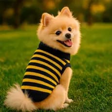 Roupa para Cachorro Roupinha de Lã Sueter Listrado para Pet