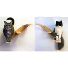 Escada para gatos 🐈 ( subida para esquerda ou direita ).