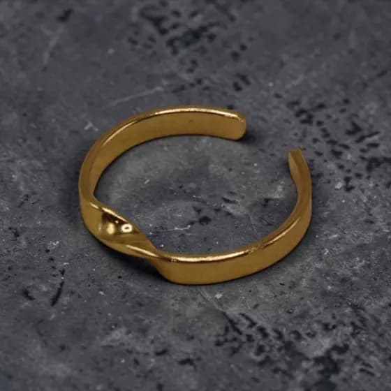 Anel Ajustável Minimalista Dourado  anel dourado feminino, anel minimalista, anel ajustável, anel delicado  anel moderno
