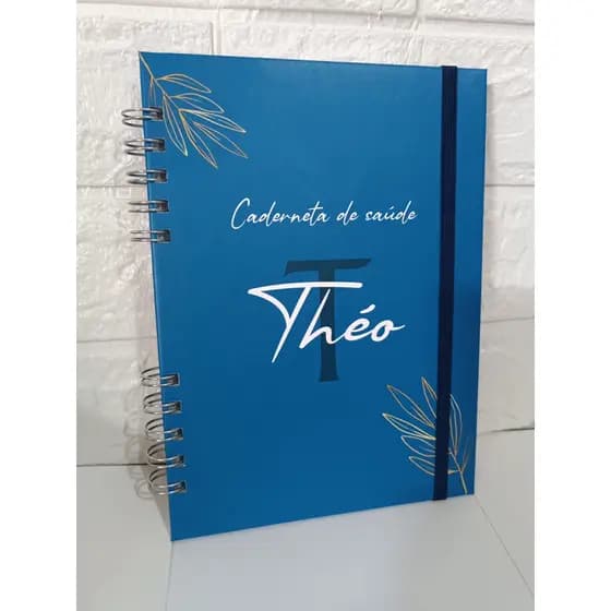 Caderneta de vacina personalizada com nome Caderneta de saúde Caderneta de vacinação