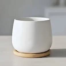 Vaso Cerâmica Branco Prato Bambu 8cm  Suculenta Flores Furo Escandinavo