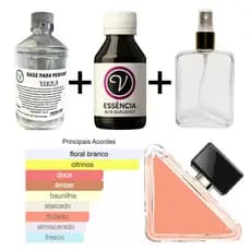 Kit para Perfumista Completo Iniciante PARADX - Essência Óleo