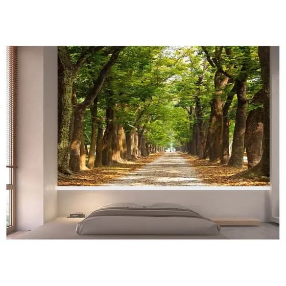 Adesivo de parede Estradas caminhos paisagens árvores mata papel de parede m² NES 088