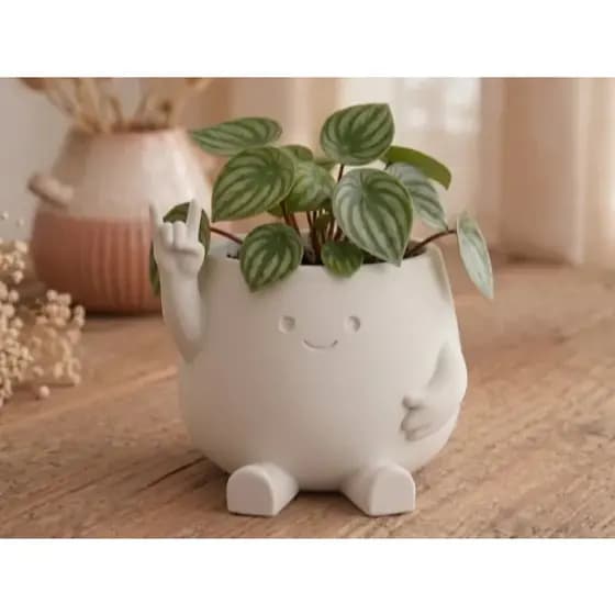 Vaso Decorativo Fofo com Personagem | Porta Planta Criativo