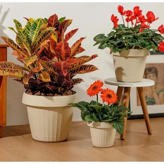 Kit 3 Vaso de flor planta redondo prato anti dengue mosquito pequeno médio grande moderno Mixxnova
