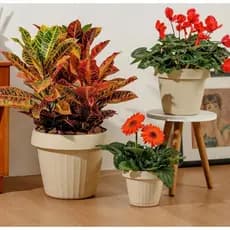 Kit 3 Vaso de flor planta redondo prato anti dengue mosquito pequeno médio grande moderno Mixxnova