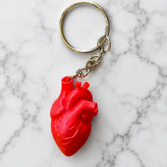 Chaveiro Coração Anatômico 3D Realista | Chaveiro Criativo Medicina Enfermagem Anatomia Humana | Presente Personalizado