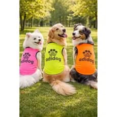 Regatas neon para çães e gato primavera verão