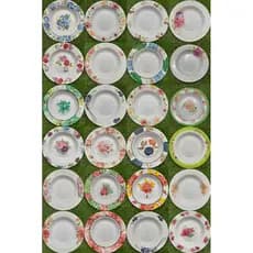 ref: (0701) Jogo com 12 pratos fundos de 23cm estampados de melamina (material: plástico)