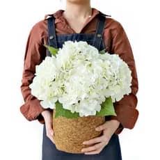 5 Cabeças Grande Hortênsia Linda Flor Artificial Bouquet De Flores Decoração De Casamento Em Casa